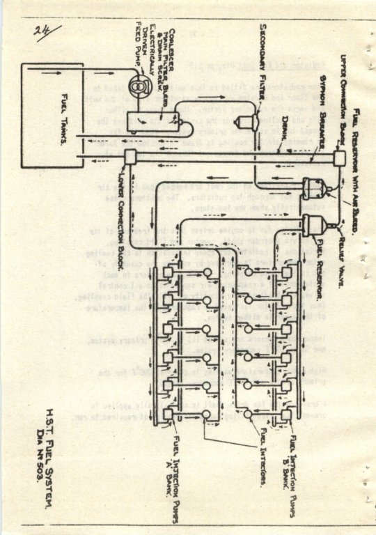 photo25.jpg