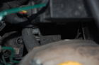 Filename=DSC_0274.JPG
Filesize=1406KiB
Dimensions=3008x2000
Date added=Dec 18, 2011 DSC_0274.JPG