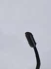 Filename=gg98.JPG
Filesize=24KiB
Dimensions=706x942
Date added=Jan 29, 2020 gg98.JPG